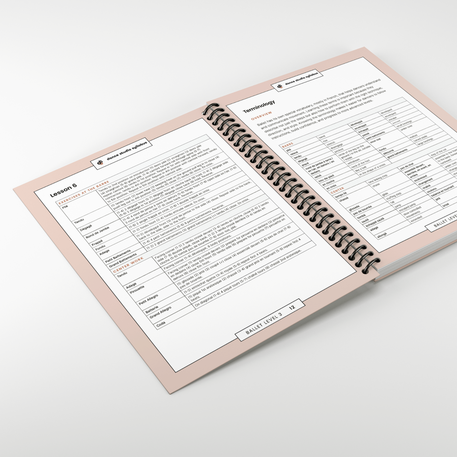 Ballet Level 3 (Spiral-Bound) - Dance Studio Syllabus